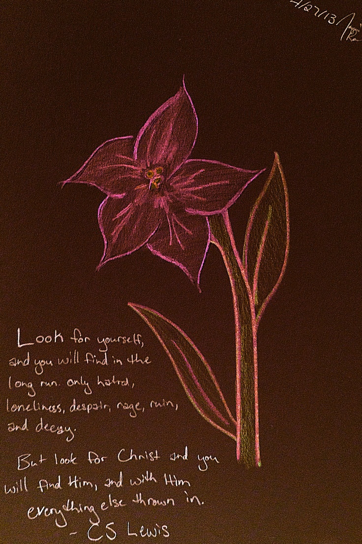 Christian Quotes By Cs Lewis