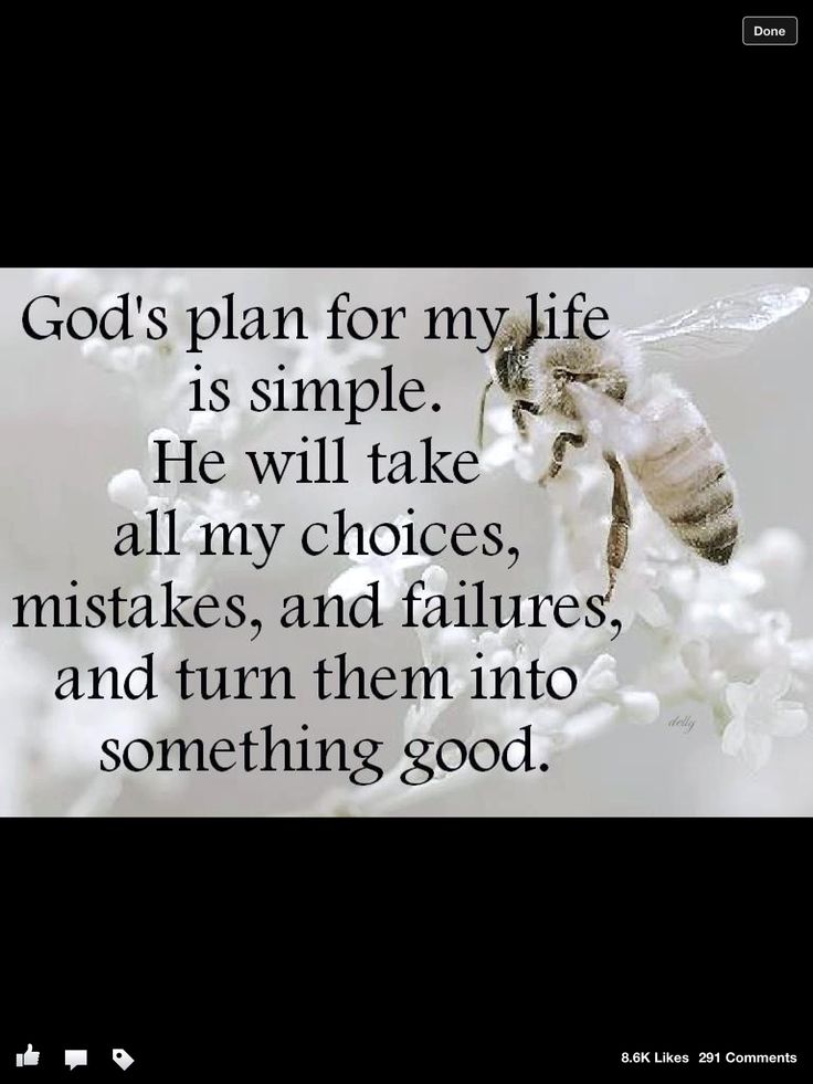 Gods Plan For Me Quotes. QuotesGram Gods Plan For Me Quotes. QuotesGram