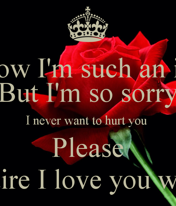 Im Sorry I Hurt You Quotes. QuotesGram