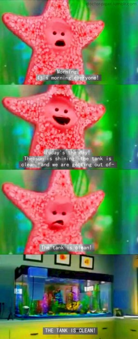 Starfish From Finding Nemo Quotes. QuotesGram