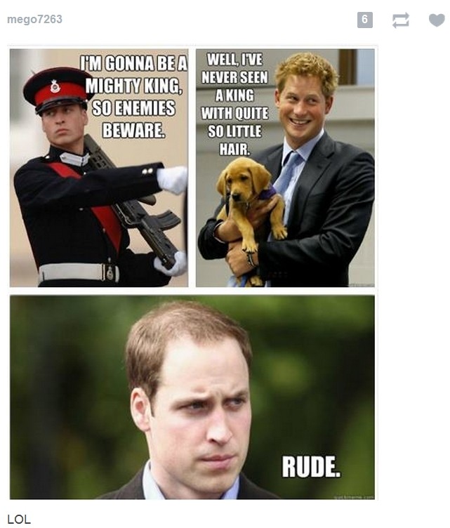 Prince Harry Funny Quotes. QuotesGram