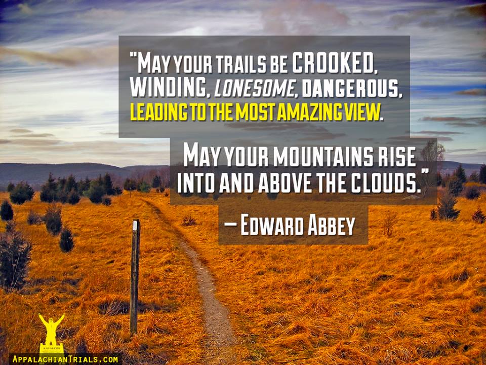 Edward Abbey Quotes. QuotesGram