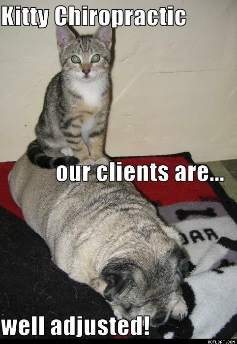 Chiropractic Humor 4
