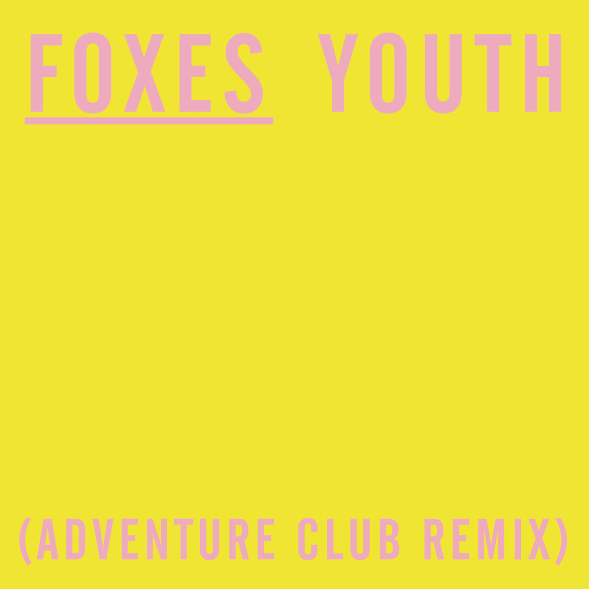 Youth Foxes Lyric Quotes