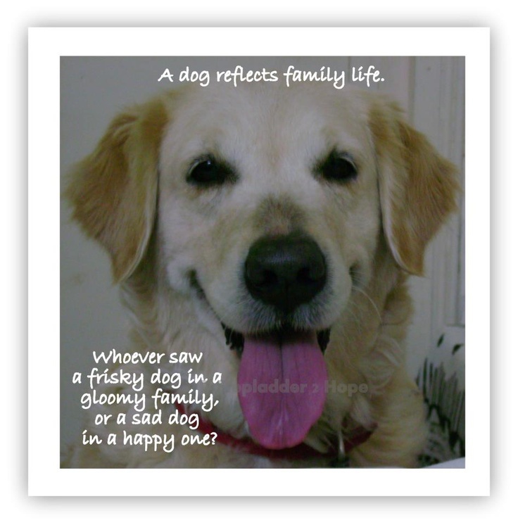 Its A Dogs Life Quotes. QuotesGram