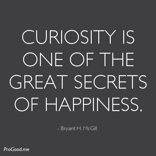 Curiosity is the gateway to discovery