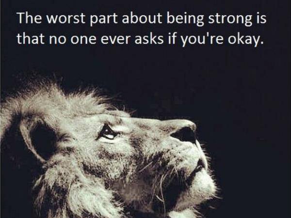 Strong Lion Quotes Wallpapers. QuotesGram
