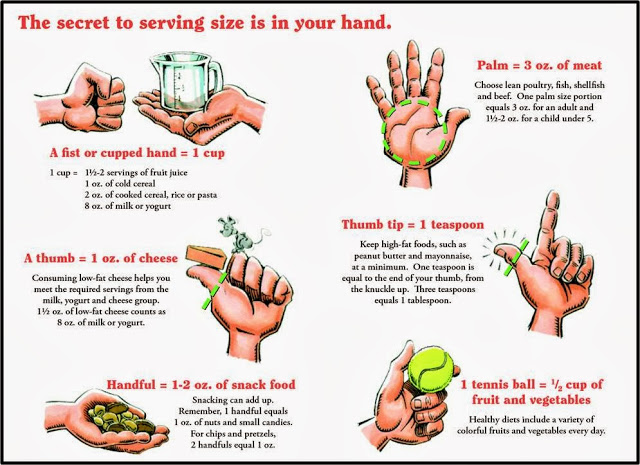 Portion Control Food Quotes QuotesGram