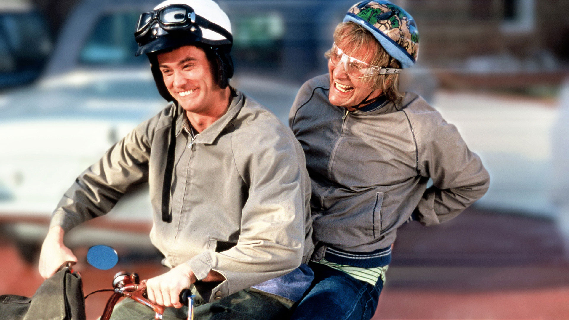 Dumb and dumber quotes quotesgram