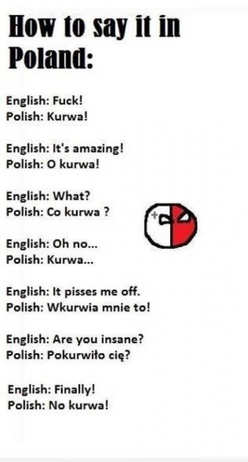 Polish Jokes Funny Quotes. QuotesGram