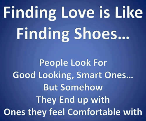 Looking For Love Quotes Funny. QuotesGram