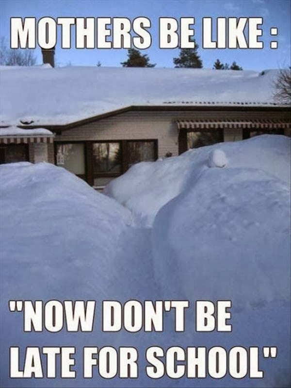 New York Snow Day Funny Quotes. QuotesGram New York Snow Day Funny Quotes. QuotesGram
