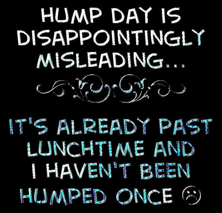 Sexy happy hump day