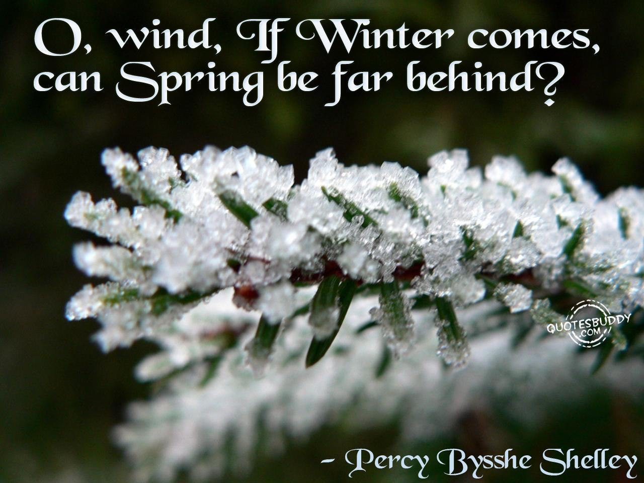 Winter Wind Quotes And Sayings. QuotesGram