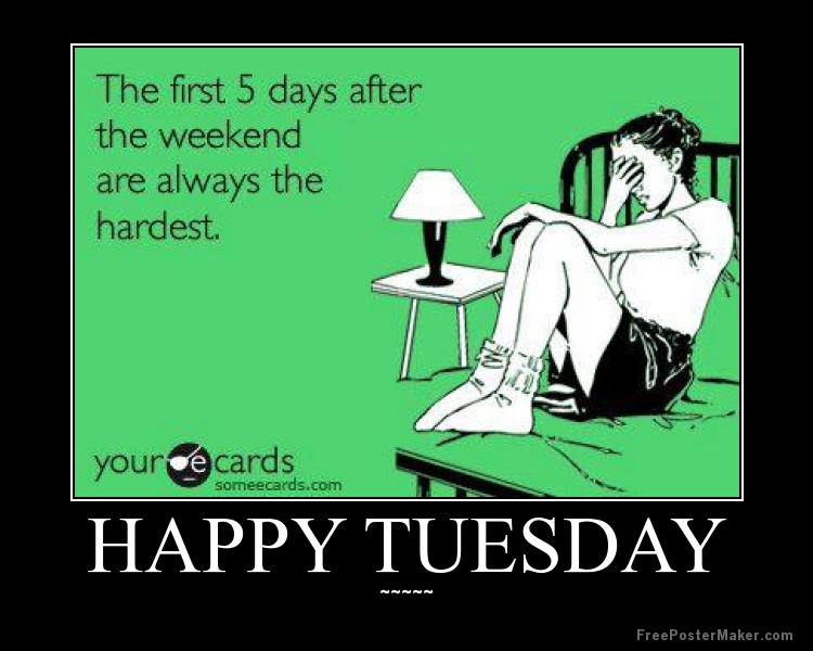 tuesday-morning-funny-quotes-quotesgram