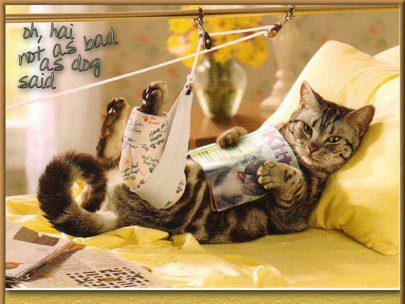 After Knee Surgery Funny Quotes QuotesGram