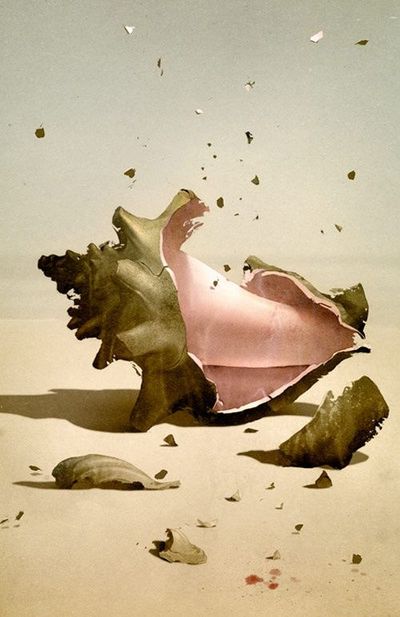  Lord Of The Flies Conch Quotes . QuotesGram