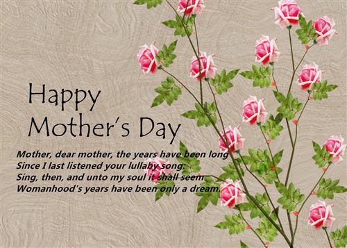 images Happy Mothers Day To My Daughter In Law Images son and daughter in law quotes quotesgram