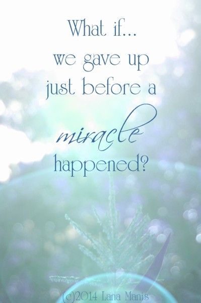 Inspirational Quotes About Never Giving Up. QuotesGram