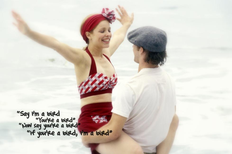 The Notebook Bird Quote Quotes From The Notebook Allie. Quotesgram