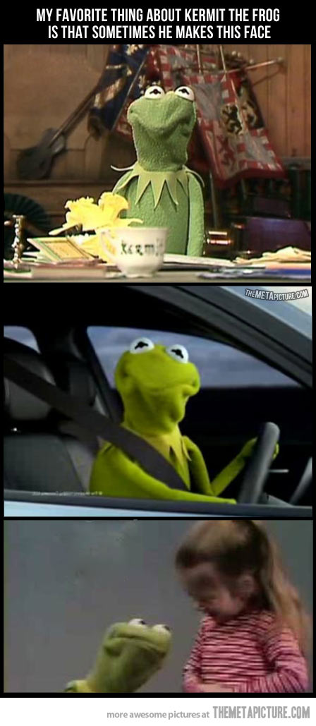 kermit the frog driving face