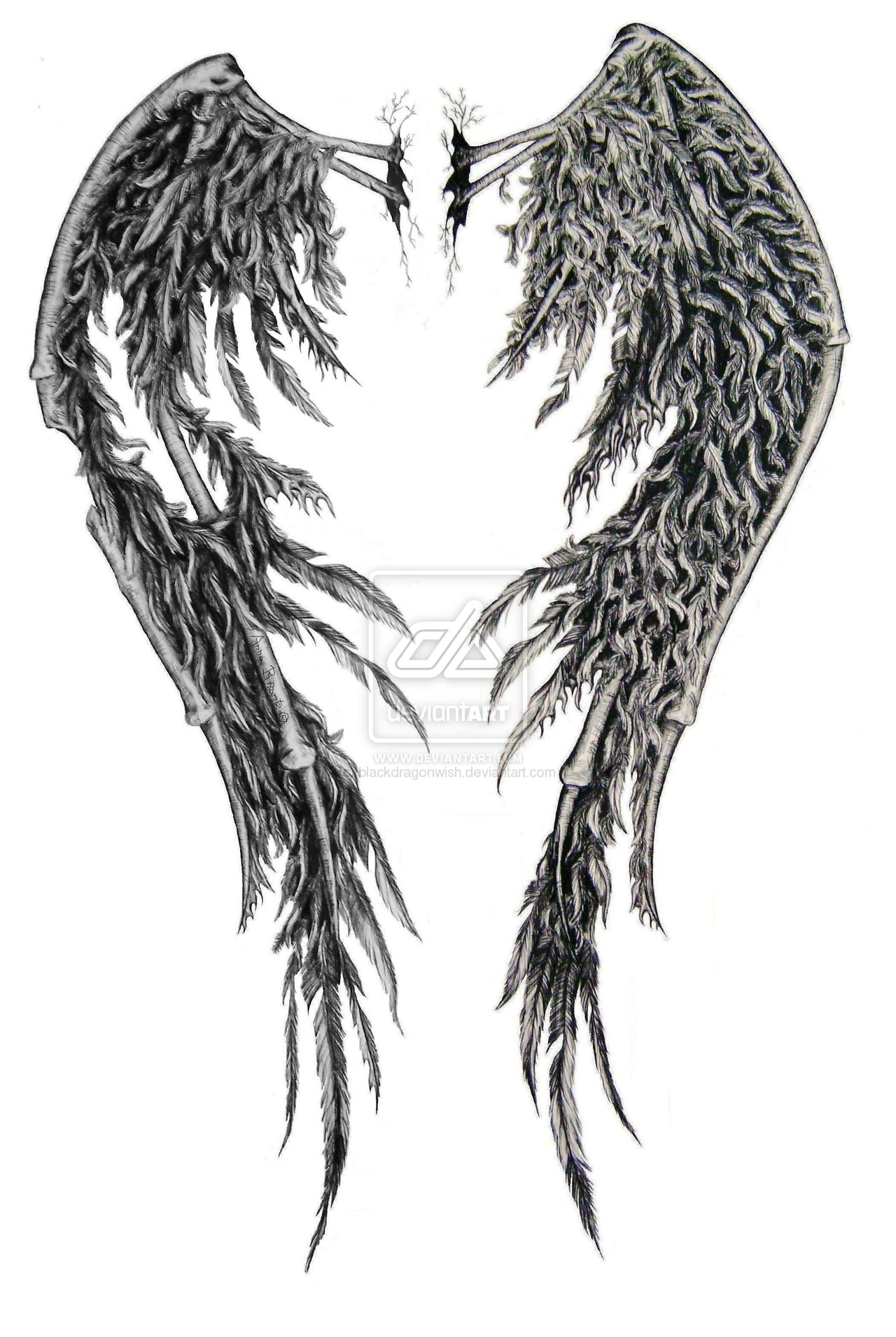 Half Angel Wings With Quotes. QuotesGram Half Angel Wings With Quotes. QuotesGram