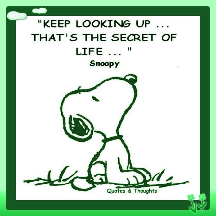 Snoopy Inspirational Quotes. QuotesGram