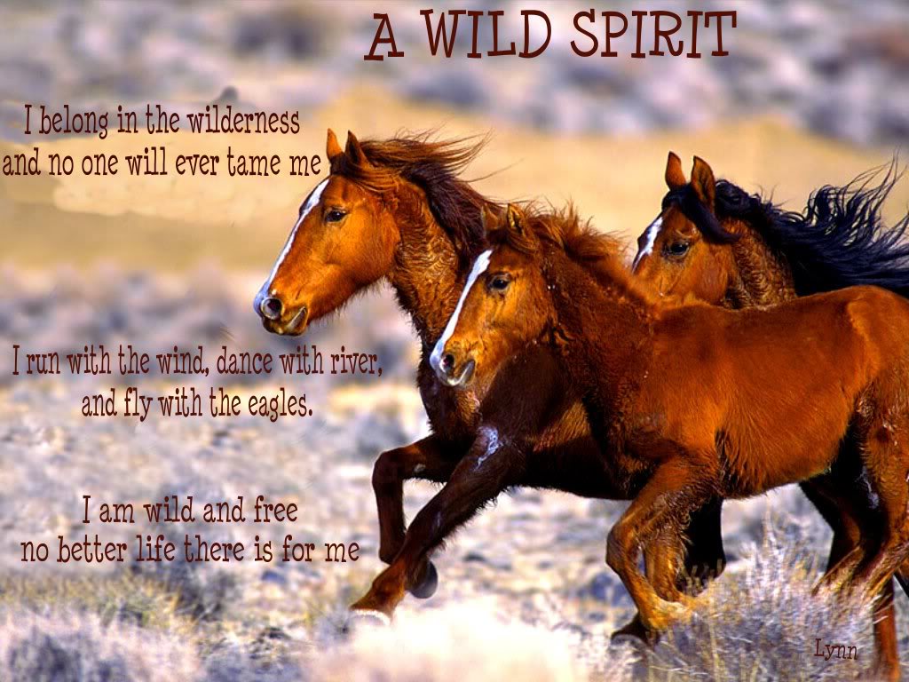 Breaking A Wild Horse Quotes. QuotesGram