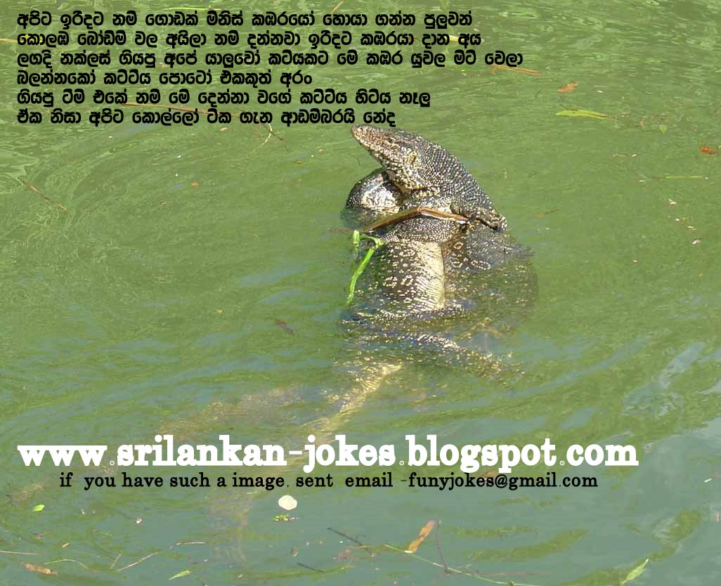 Sri Lanka Jokes Movie
