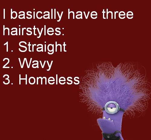 Wild Hair Funny Quotes. QuotesGram Wild Hair Funny Quotes. QuotesGram