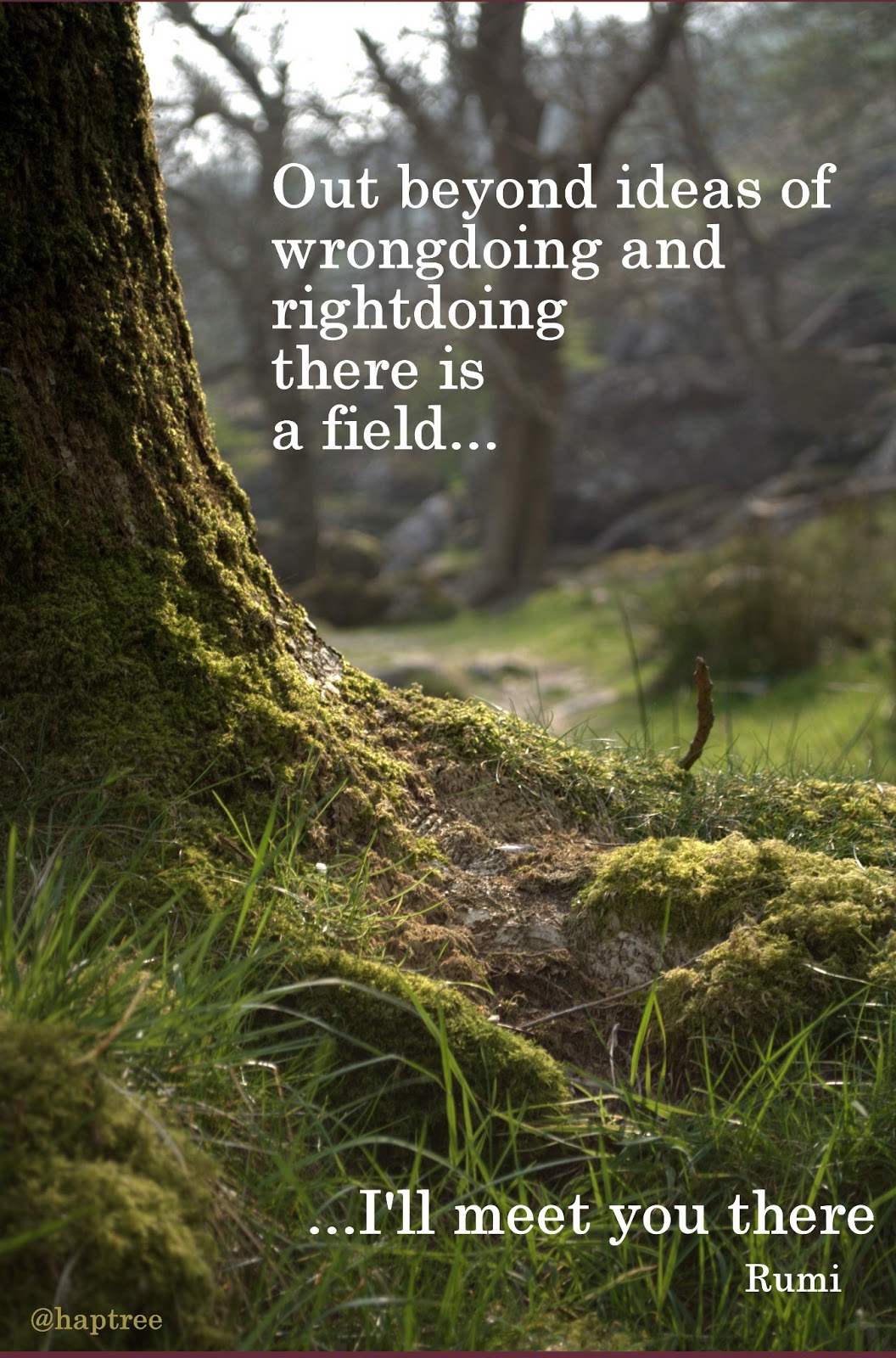 Rumi Out Beyond Quotes