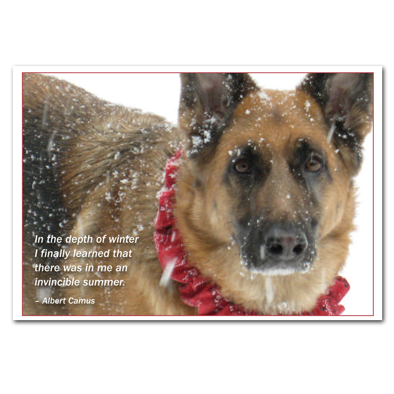 Dog Quotes New. QuotesGram