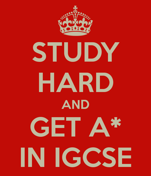 Study Hard And Success Quotes. QuotesGram