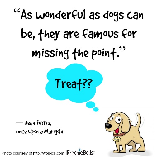 Inspirational Quotes About Pets QuotesGram inspirational-quotes-about-pets-quotesgram
