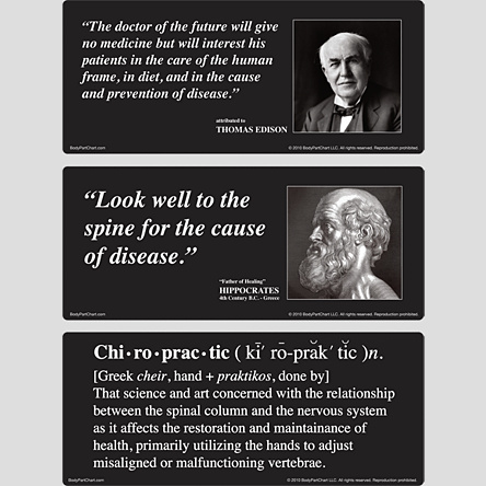 Chiropractic Quotes Of The Day Quotesgram