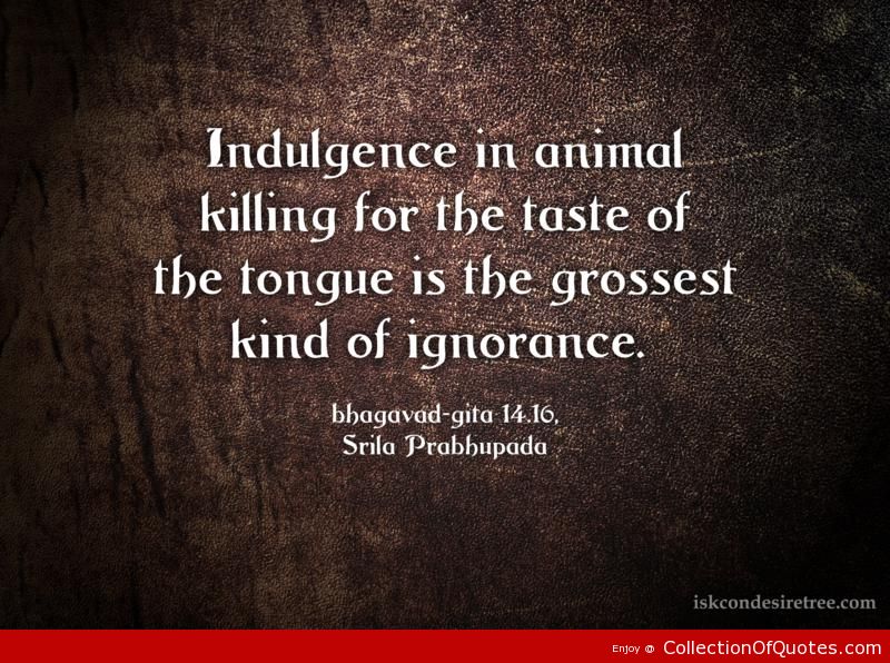 Quotes About Killing Animals QuotesGram