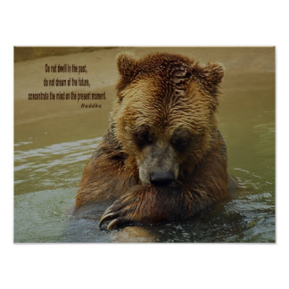 Grizzly Bear Quotes. QuotesGram Grizzly Bear Quotes. QuotesGram