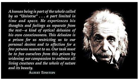 680802487 einstein quotes Albert Einstein Quote