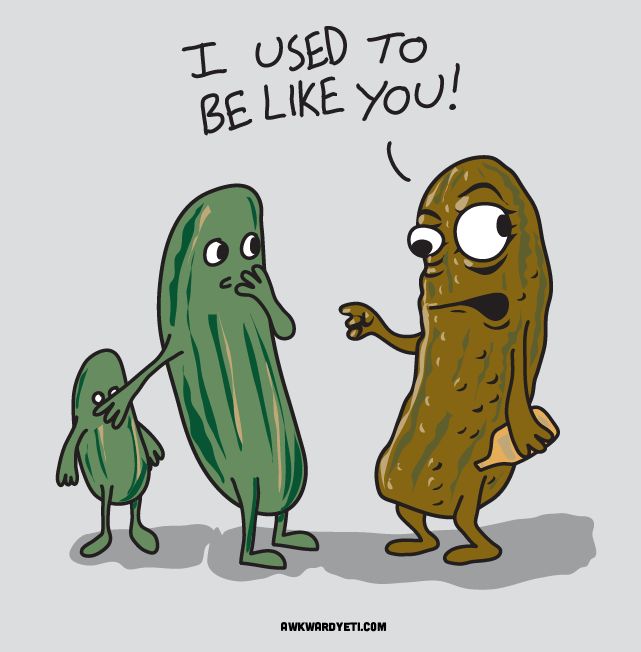 Funny Pickle Quotes.