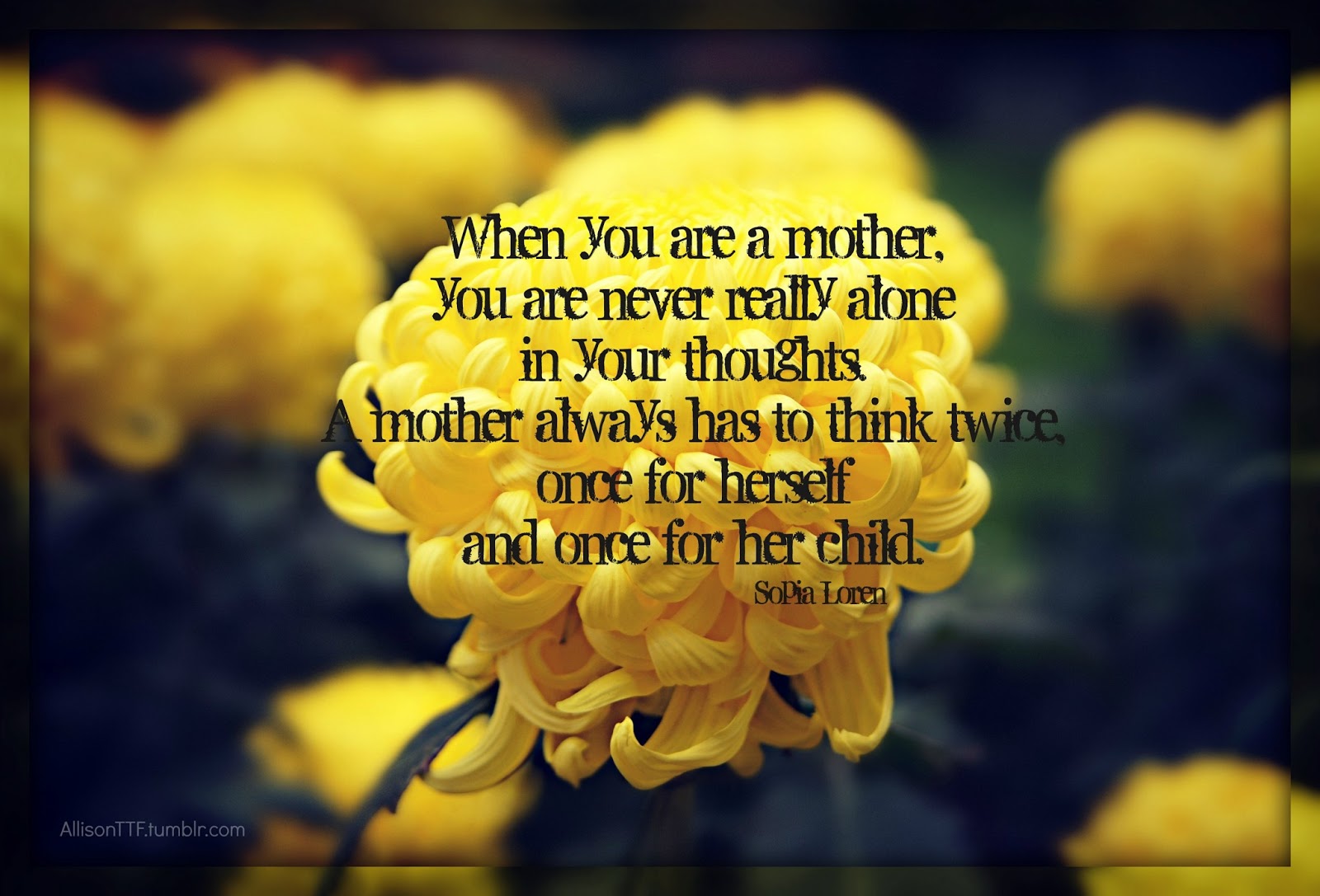 Quotes About Yellow Flowers. QuotesGram
