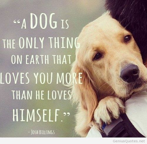 Dogs Are Best Friends Quotes Quotesgram