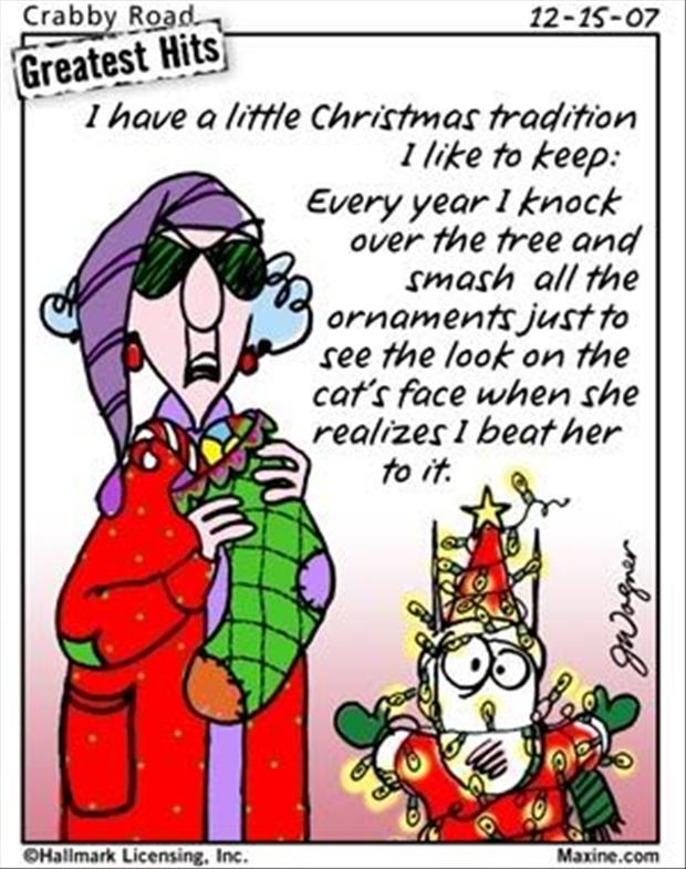 Funny Quotes Christmas Spirit. QuotesGram