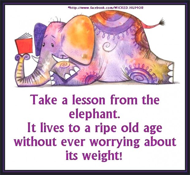 The elephant is mine. Quotes about Elephant.