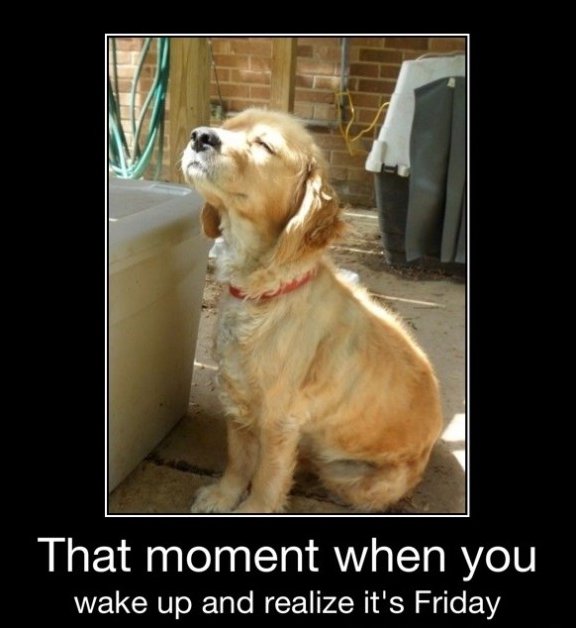 Featured image of post Tgif Funny Happy Friday Images / A lot of humorous things have been said and written about fridays.