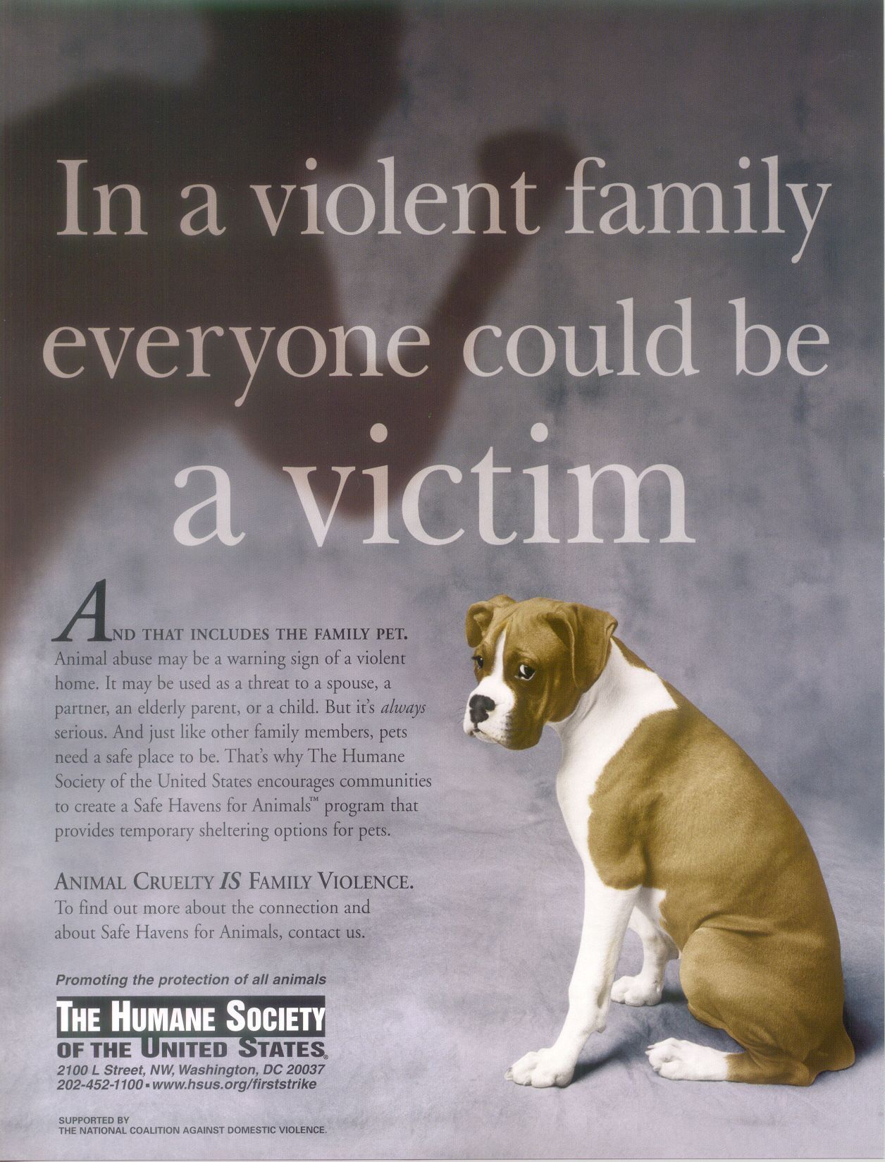 Against Animal Abuse Quotes. QuotesGram