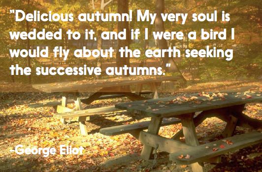 Great Autumn Quotes And. QuotesGram