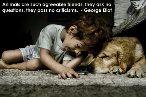 Quotes About Being Best Friends Dogs. QuotesGram