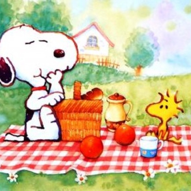 Funny Picnic Quotes Quotesgram