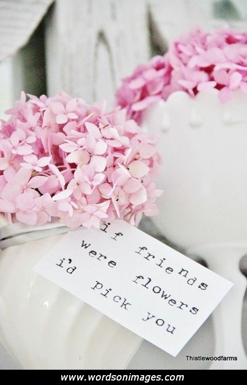 Flower Quotes About Friendship. QuotesGram
