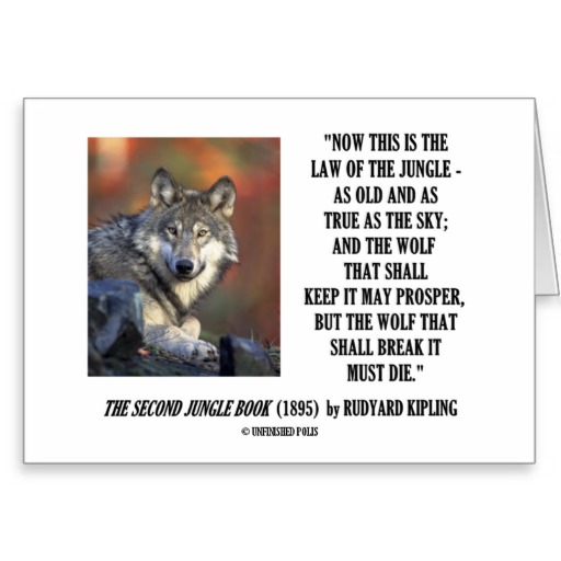 Jungle Book Rudyard Kipling Quotes Quotesgram